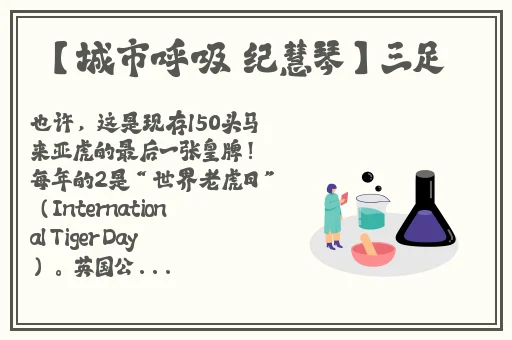 初爱视频教程